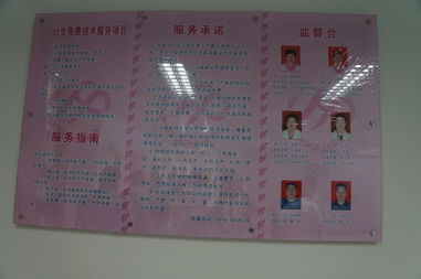 領先CMS建站服務商 專注研發，賦能高效建站